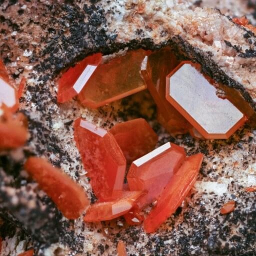 When AI Becomes Corporate Routine: Using Endpoint Detection to Uncover Defensive Blind Spots Early